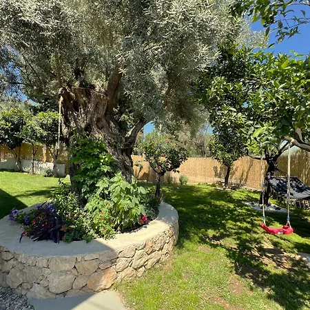 Marina's House 니드리