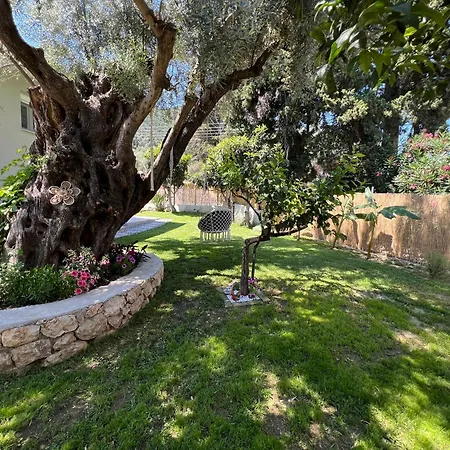 펜션 Marina's House