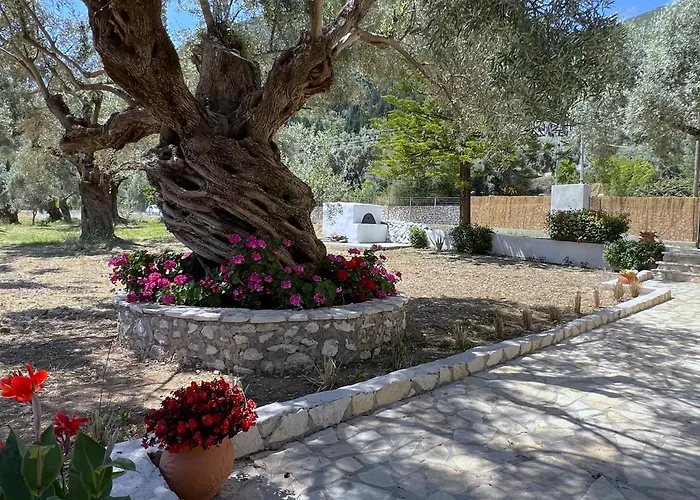 Marina's House 펜션 *