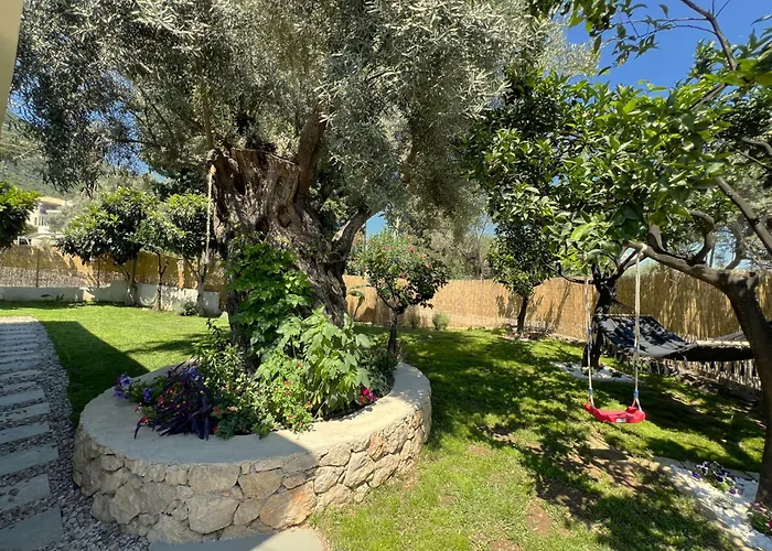 Marina's House נידרי